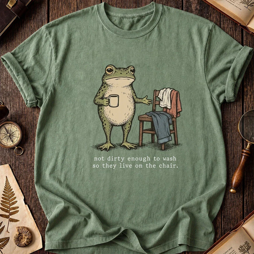 Laundry Chair Frog T-Shirt product image 1